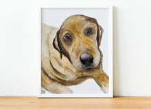 Load image into Gallery viewer, Personalised Pet Portrait
