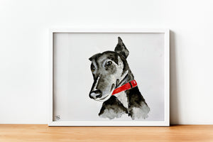 Personalised Pet Portrait